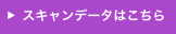 スキャンデータ