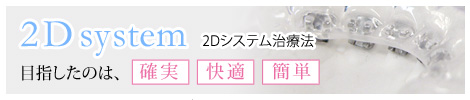 2dシステム